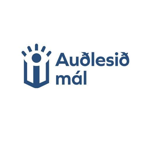 Auðlesið mál: Forseta-kosningar 2024