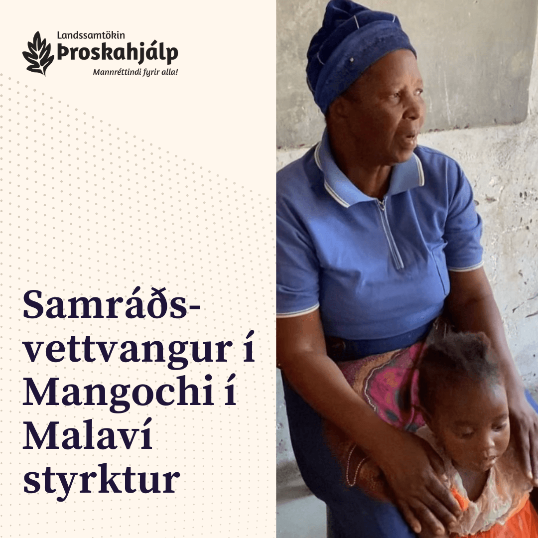 Styrkur fyrir samráðsvettvang í Malaví
