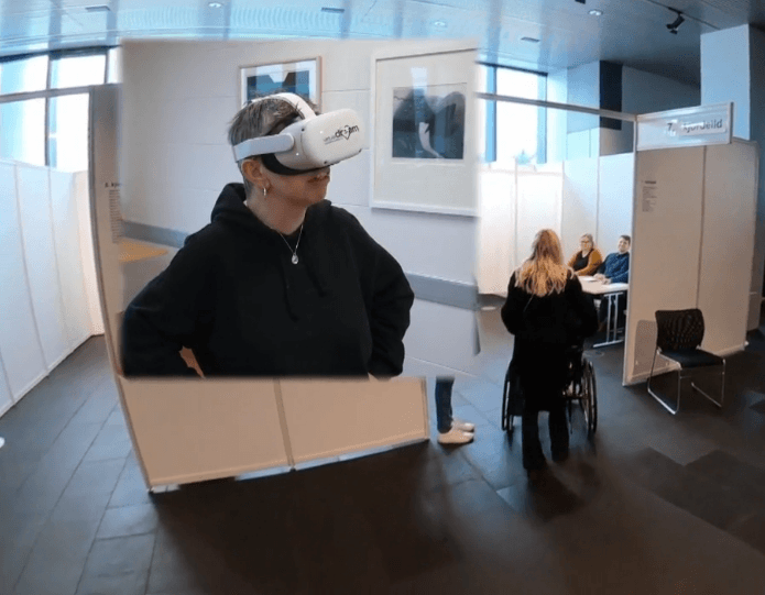 Vilt þú æfa þig að kjósa?