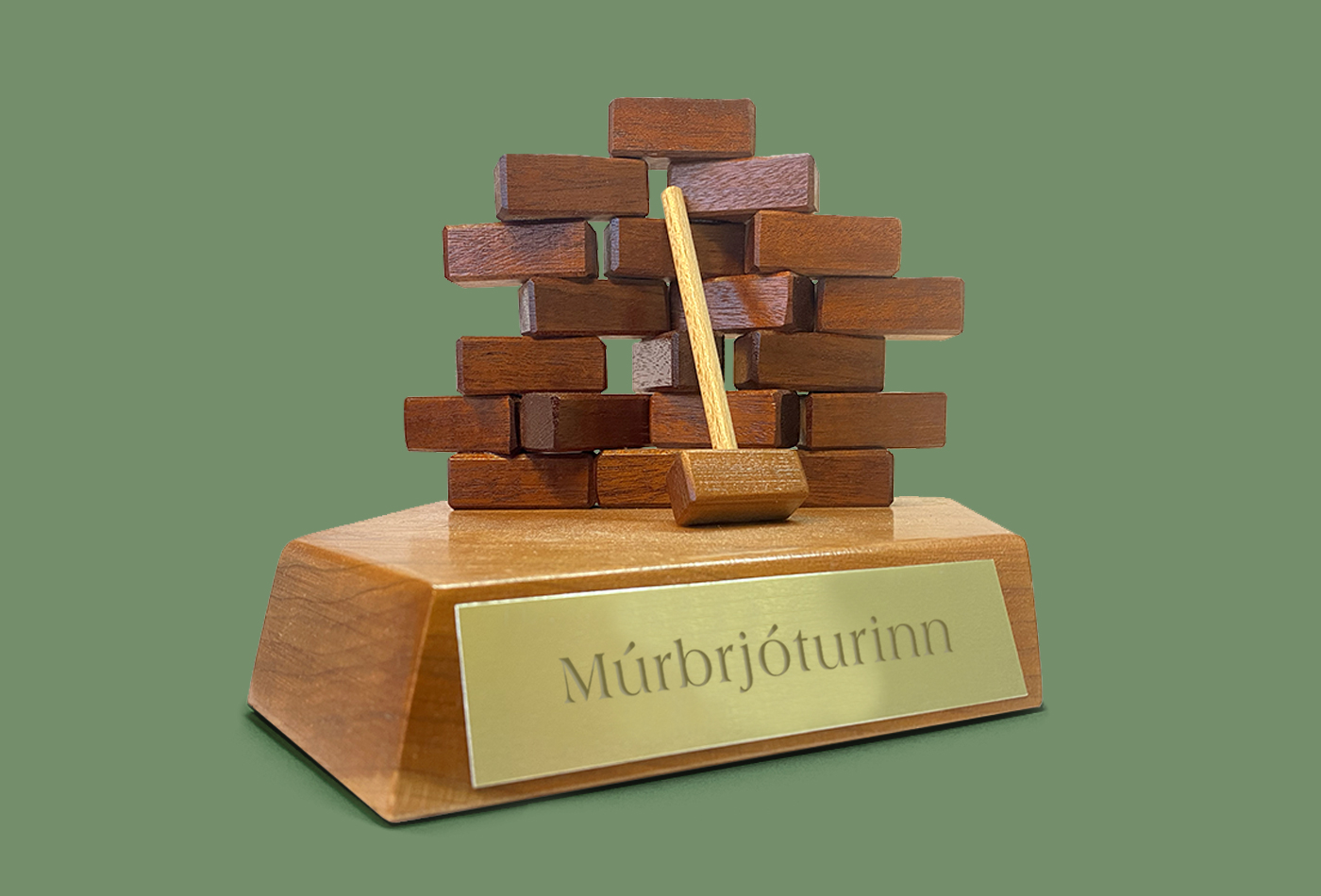 Múrbrjóturinn - viðurkenning Þroskahjálpar Múrbrjóturinn - viðurkenning Þroskahjálpar