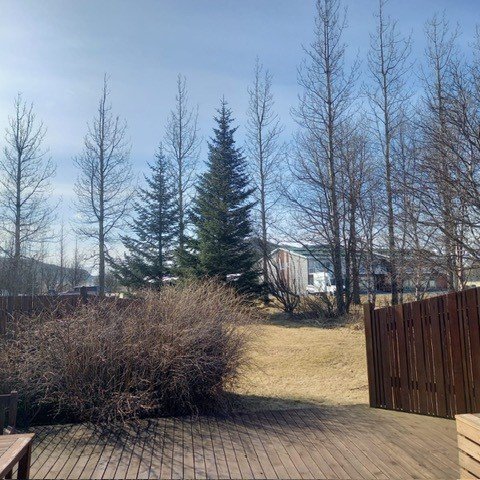 umhverfid_dadahus_2024