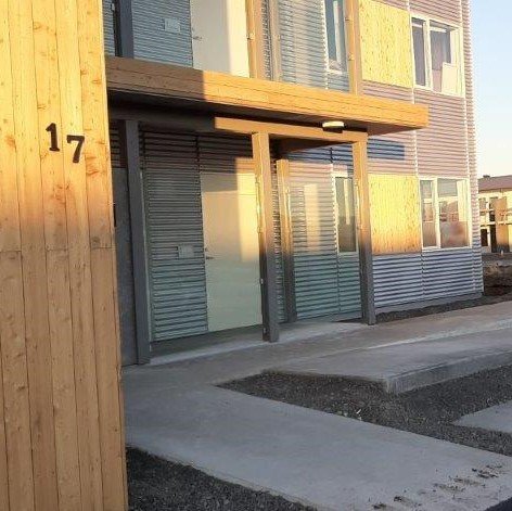 Beykiskógar á Akranesi