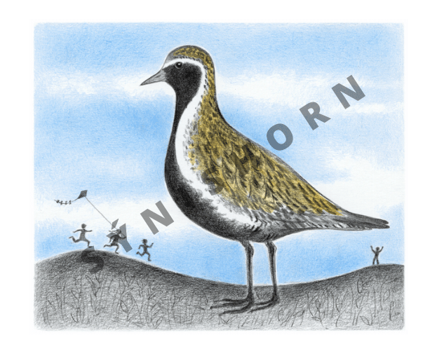 Dýrðin eftir Sigrúnu Eldjárn.