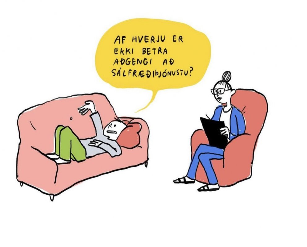 Elín Elísabet Einarsdóttir og Rán Flygenring teiknuðu umræður á barnaþingi. Myndina teiknaði Elín El…