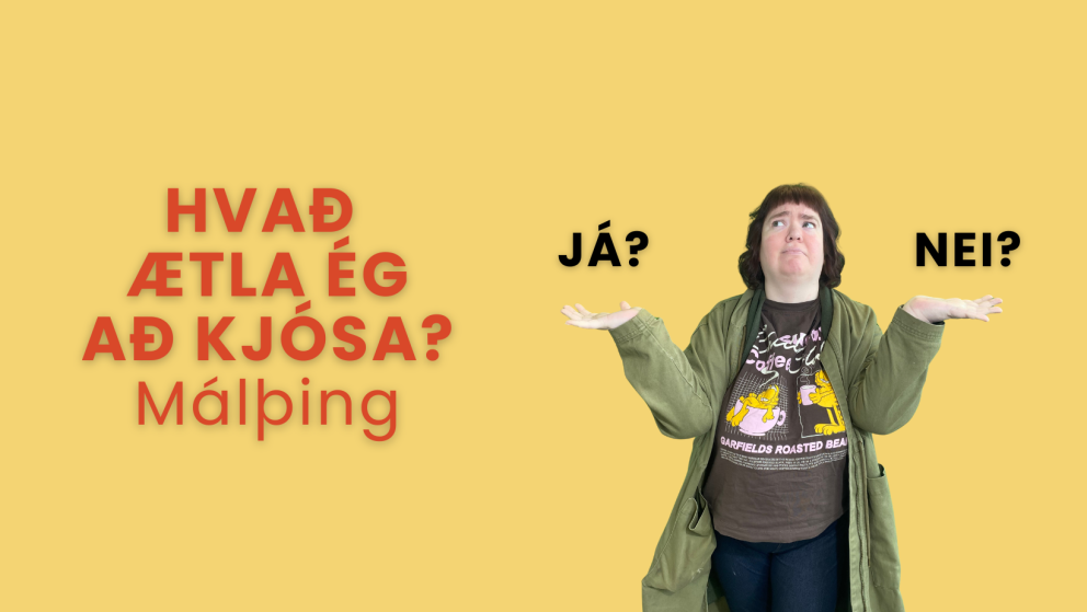 Hvað ætla ég að kjósa?