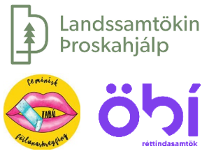 Athugasemdir til dómsmálaráðherra og undirstofnana um réttindi fatlaðs fólks í leit að vernd á Íslan…