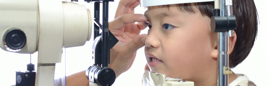 Umsögn Landssamtakanna Þroskahjálpar um frumvarp til laga um endurgreiðslu vegna gleraugnakaupa barn…