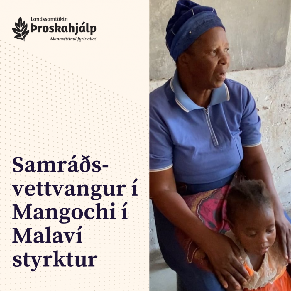 Styrkur fyrir samráðsvettvang í Malaví