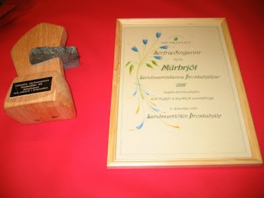 Alþjóðadagur fatlaðra