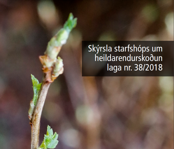 Skýrsla um heildarendurskoðun á lögum um þjónustu við fatlað fólk með langvarandi stuðningsþarfir