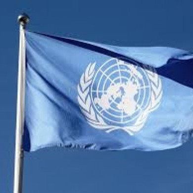 Skýrsla íslenskra stjórnvalda til SÞ um stöðu mannréttindamála á Íslandi. Umsagnir Landssamtakanna Þ…