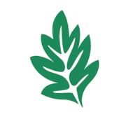 Umsögn Landssamtakanna Þroskahjálpar um stefnu um gervigreind