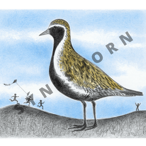 Dýrðin eftir Sigrúnu Eldjárn.