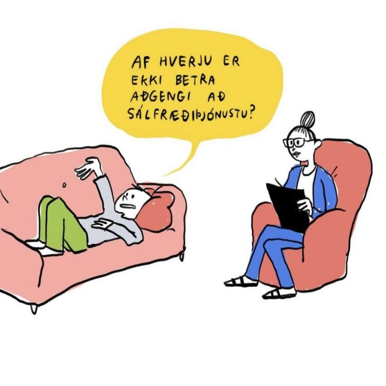 Elín Elísabet Einarsdóttir og Rán Flygenring teiknuðu umræður á barnaþingi. Myndina teiknaði Elín El…