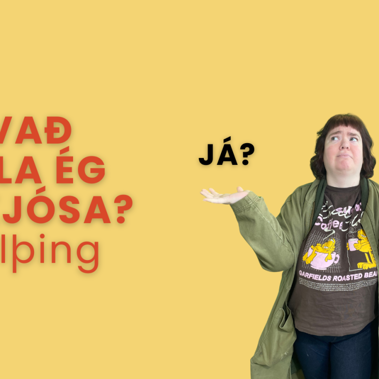 Hvað ætla ég að kjósa?