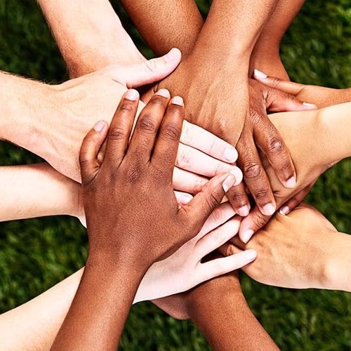 Mannréttindastofnun tekin til starfa