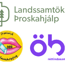 Athugasemdir til dómsmálaráðherra og undirstofnana um réttindi fatlaðs fólks í leit að vernd á Íslan…