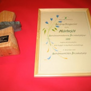 Alþjóðadagur fatlaðra