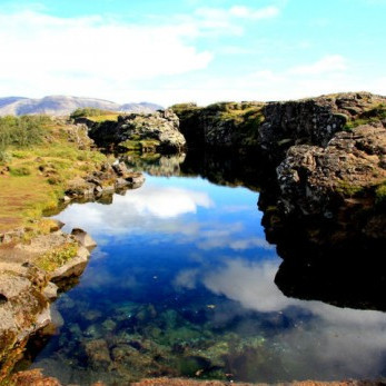 Sumar á Þingvöllum