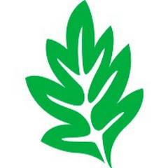 Umsagnir og álit Þroskahjálpar og samráð við stjórnvöld.