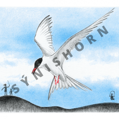 Krí-krí. Sigrún Eldjárn.