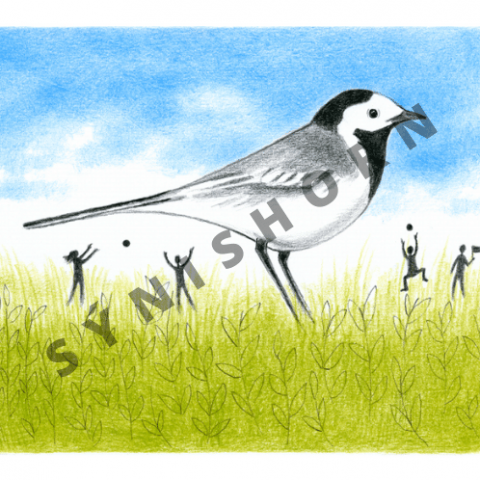 Boltaleikur. Sigrún Eldjárn.