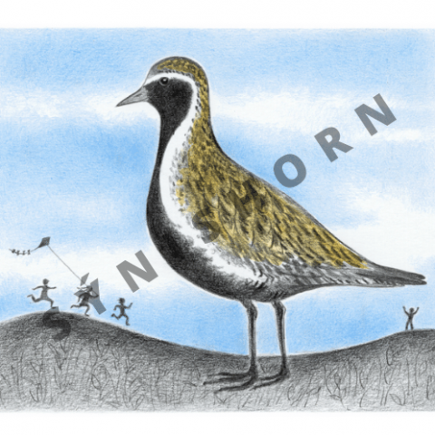 Dýrðin. Sigrún Eldjárn.